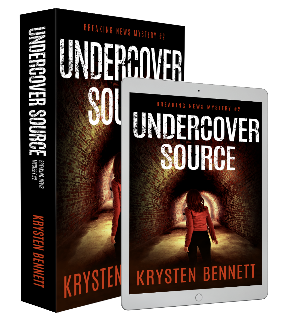 Undercover Source book cover